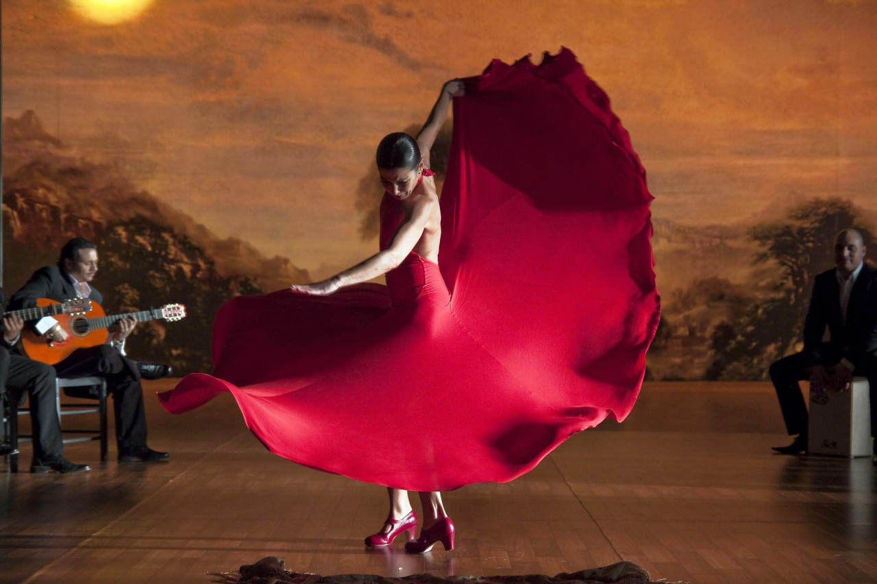 flamenco - V ritmu flamenka