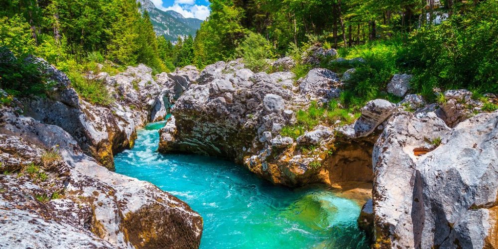 BOVEC