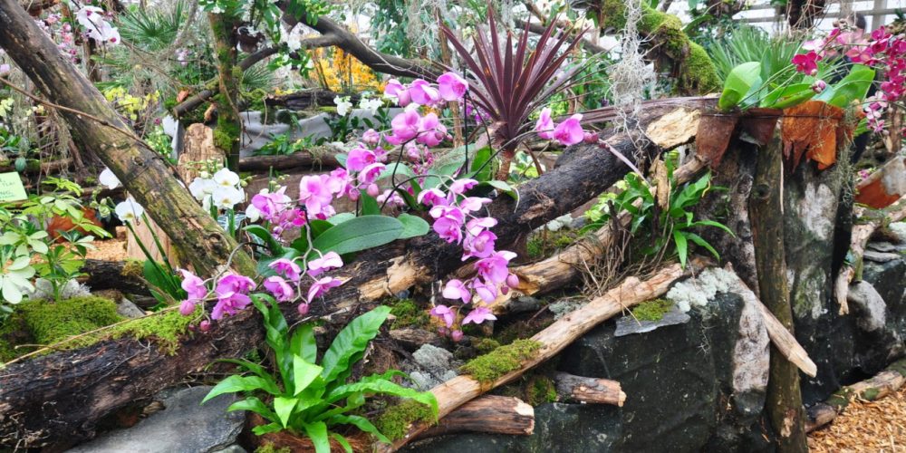 PREKMURJE z ogledom orhidej